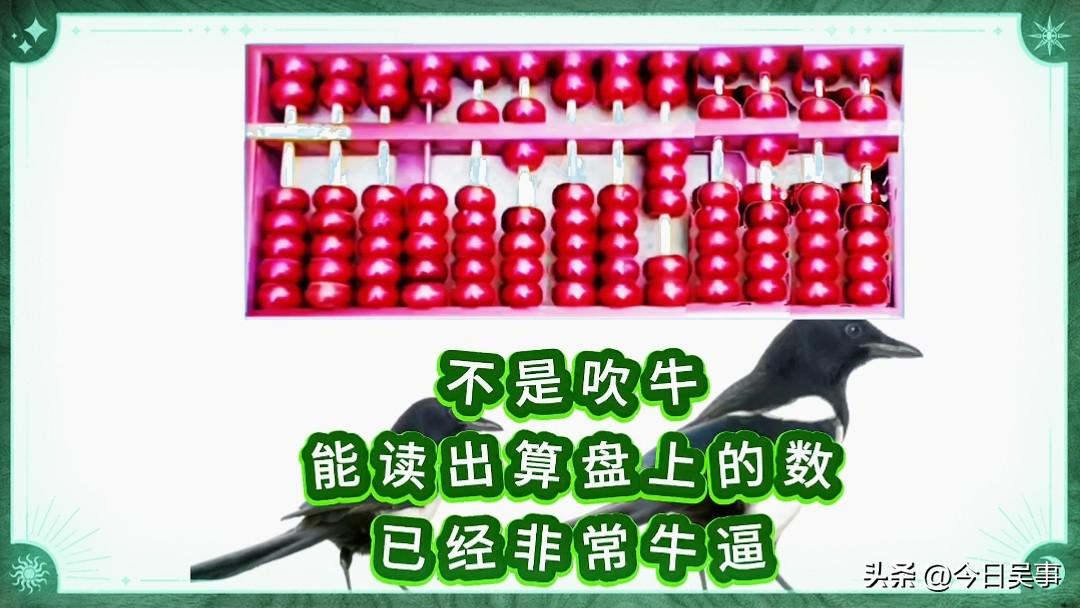 你认识这个算盘上的数吗？快来科普科普呗！
今日吴事仔细研究了一下，个人认为算盘上