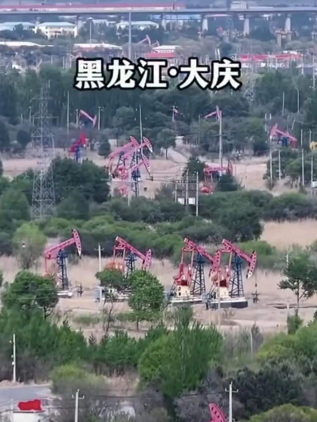 健康小常识：从中医和现代医学（西医）两个角度看，荷叶泡水减肥的机理侧重不同，但都