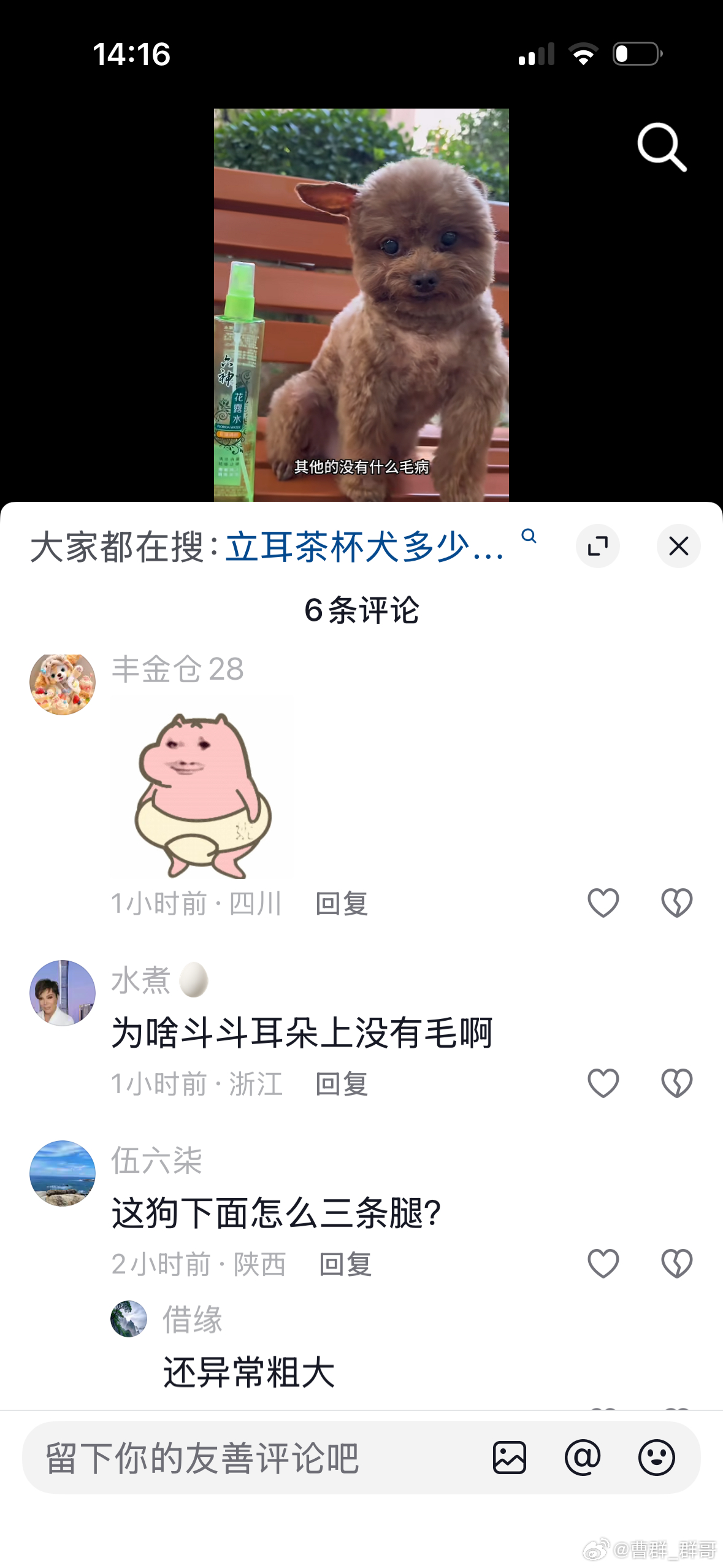 啊？？人无奈的时候真的想笑。萌宠账号经常遇到骂我骂狗的人，偶尔也会遇到这种拿小狗