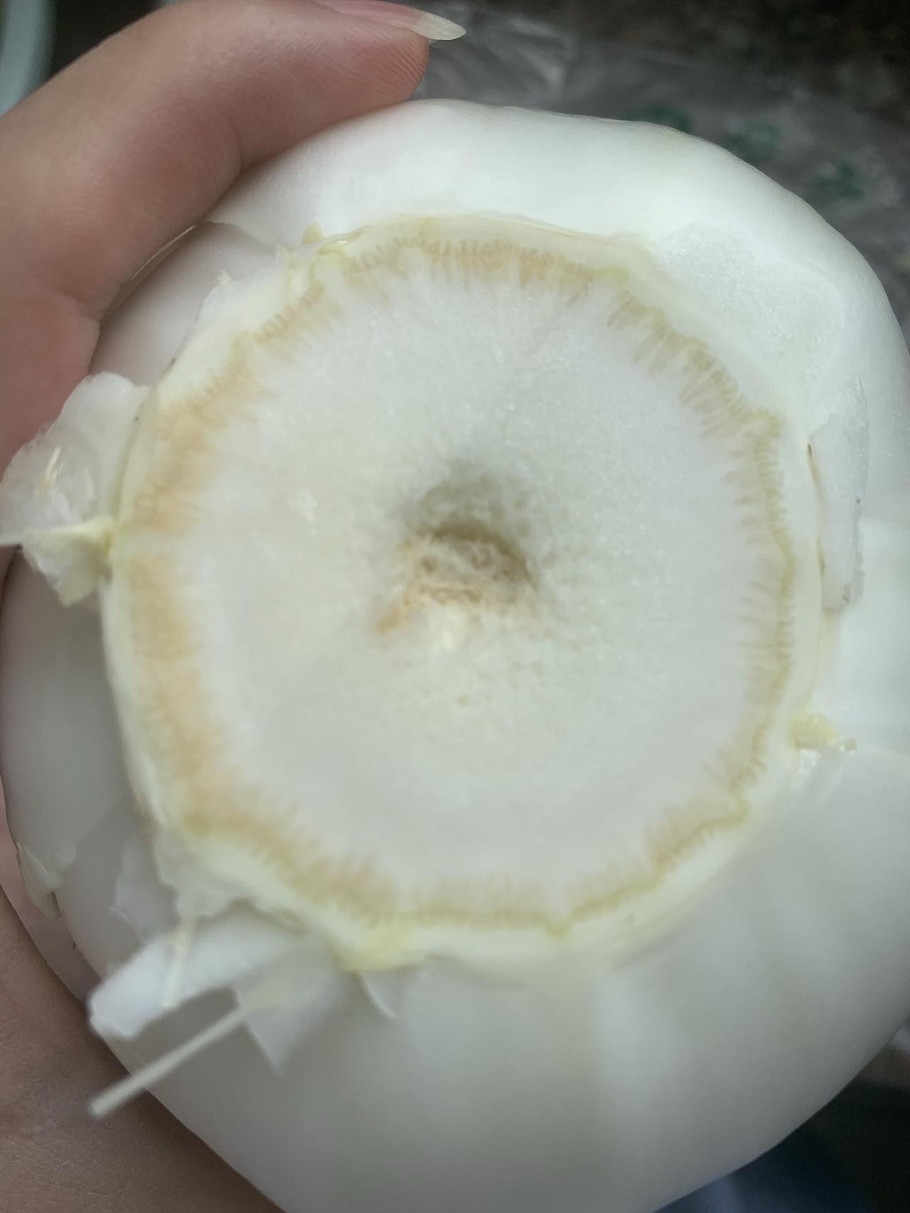 晒图笔记大赛这个大白菜上面有很多黑点点，不知道是坏了还是长虫了，菜根还发黄，看起