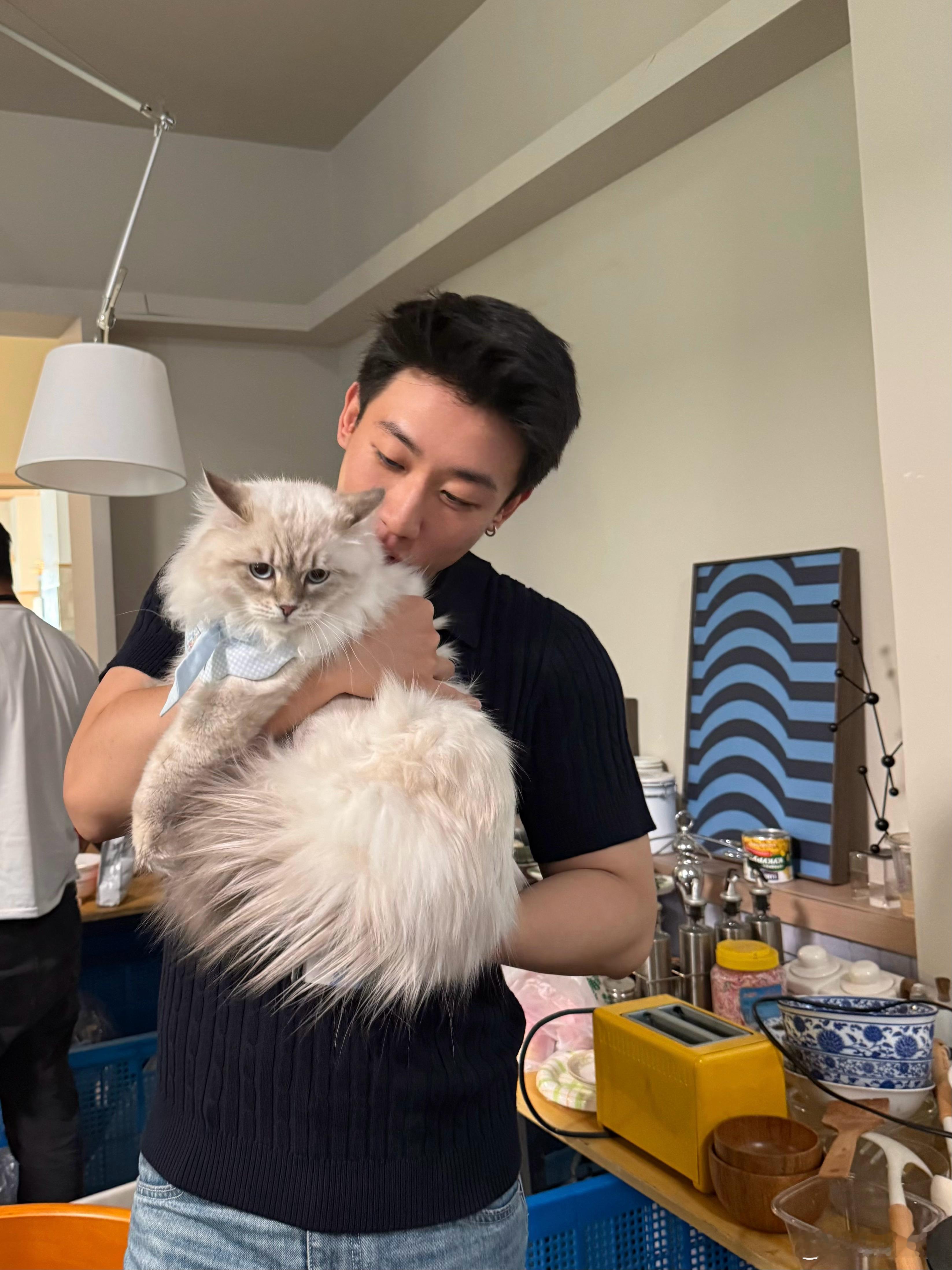 小猫会有烦恼吗 ​​​