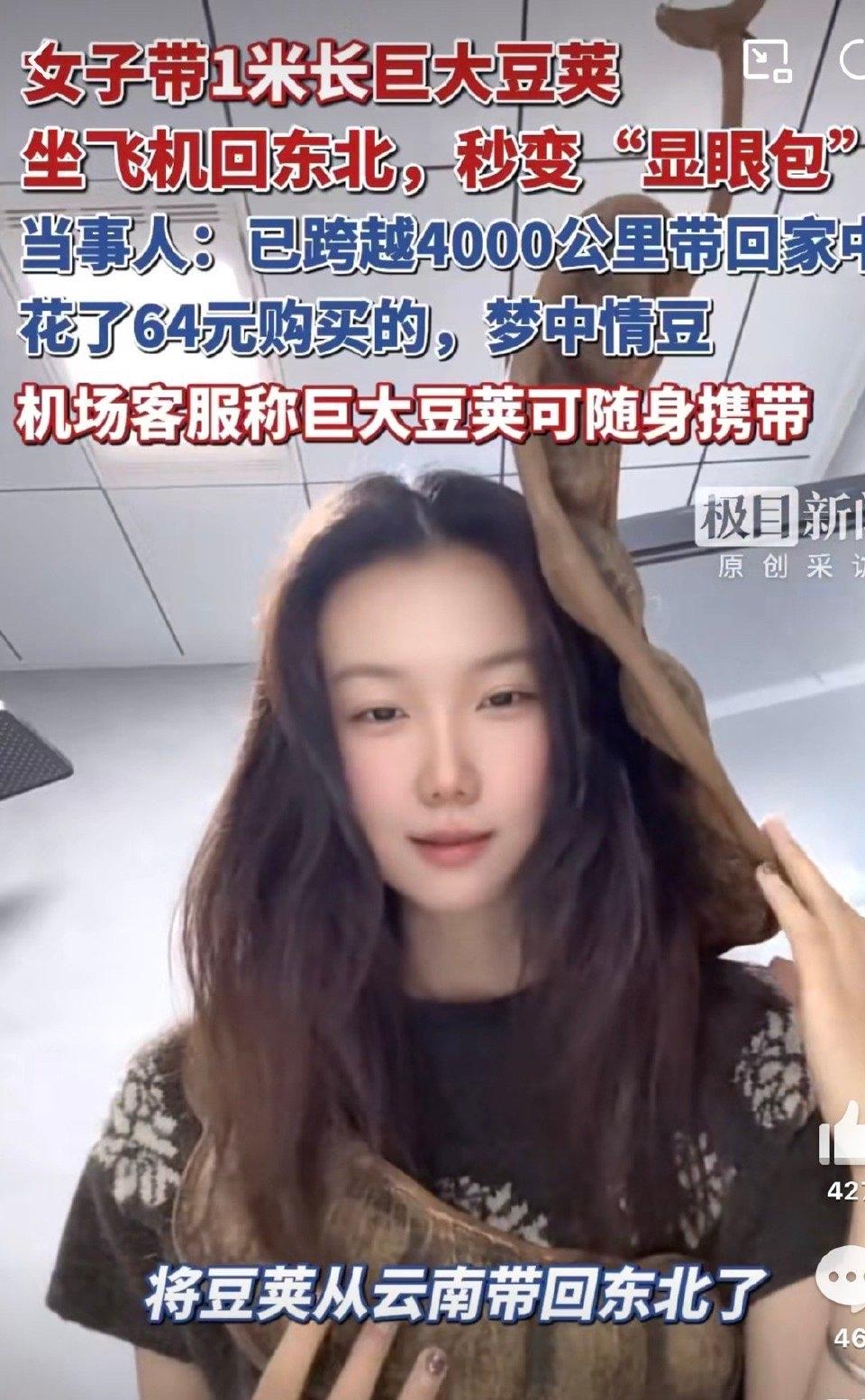 辽宁一位陈女士去云南旅游，一眼看中当地一种叫“过江龙”的大豆荚，造型奇特像条蛇，