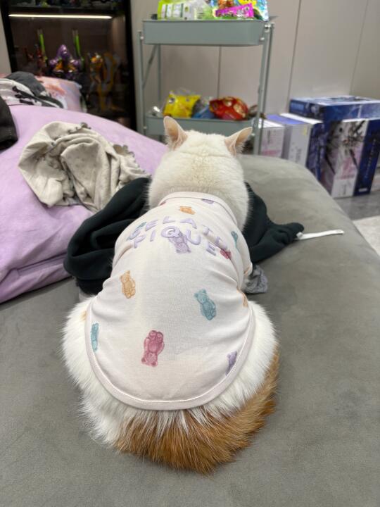 衣服要穿L码的