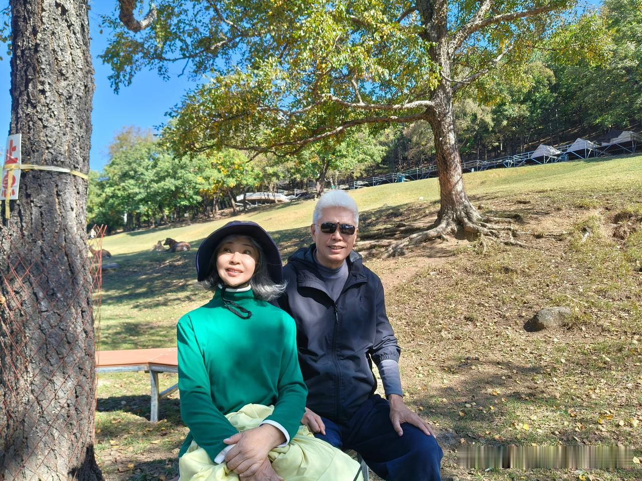 自驾来到伊春金山鹿苑，
和梅花鹿近距离相遇，山野林间，小鹿悠闲漫步，特别治愈。