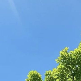 应对失败和挫折，一笑而过是一种乐观自信，然后重振旗鼓，这是一种勇气心。应对误解和