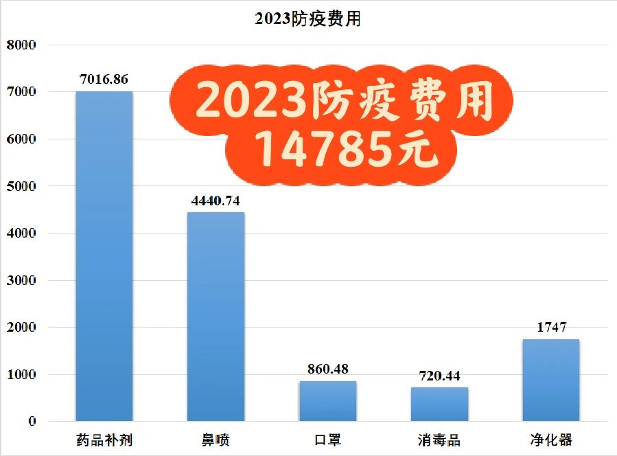 2023年度总结：防疫花费超万元