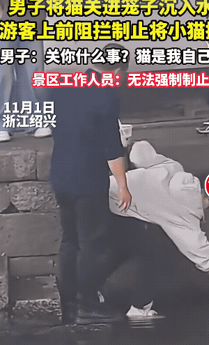 太嚣张了！浙江绍兴，一男子把猫装进笼子放入水中淹死，游客看不下去，把笼子从水中提
