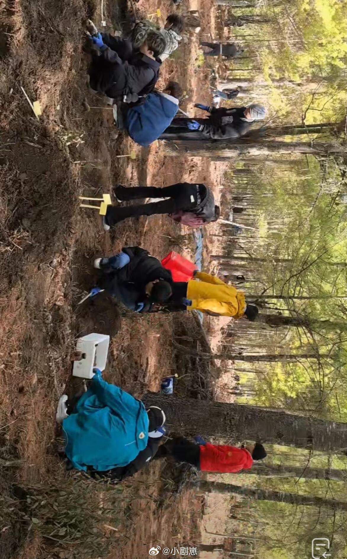 十个勤天每次这种时候，大家就像接生一样，孩子一出来就挨个数指头全乎不全乎，一二三