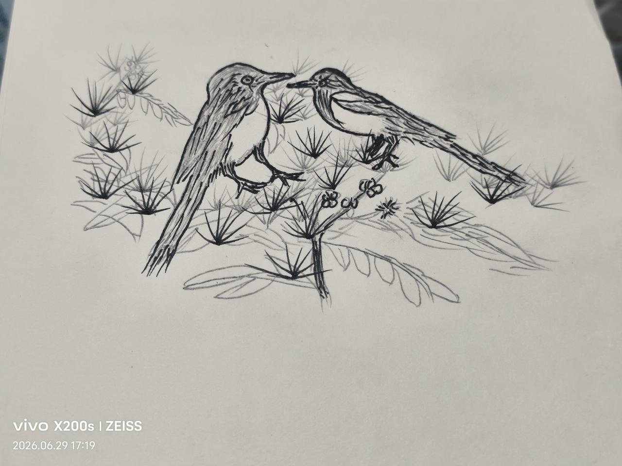 今日手工打卡下午没事在家用铅笔手工画了一张画，是根据手机内自己拍的户外风景创作的