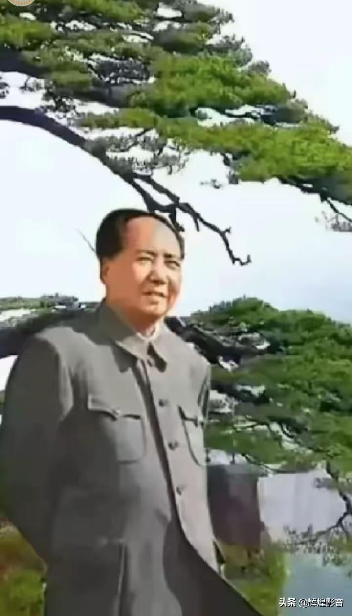 大雪压青松，挺而不弯！毛主席一身傲骨，是华夏永不折的脊梁
 
提起青松，人人都会