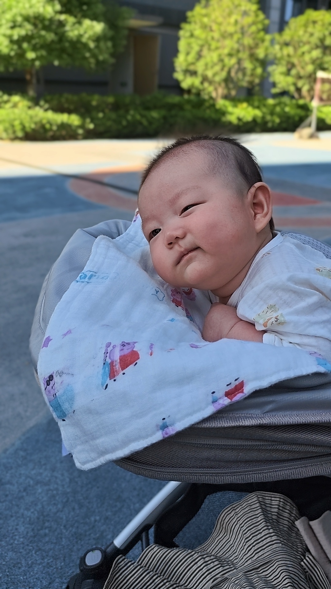 一大早出来遛弯这小子表情还挺拽～ ​​​