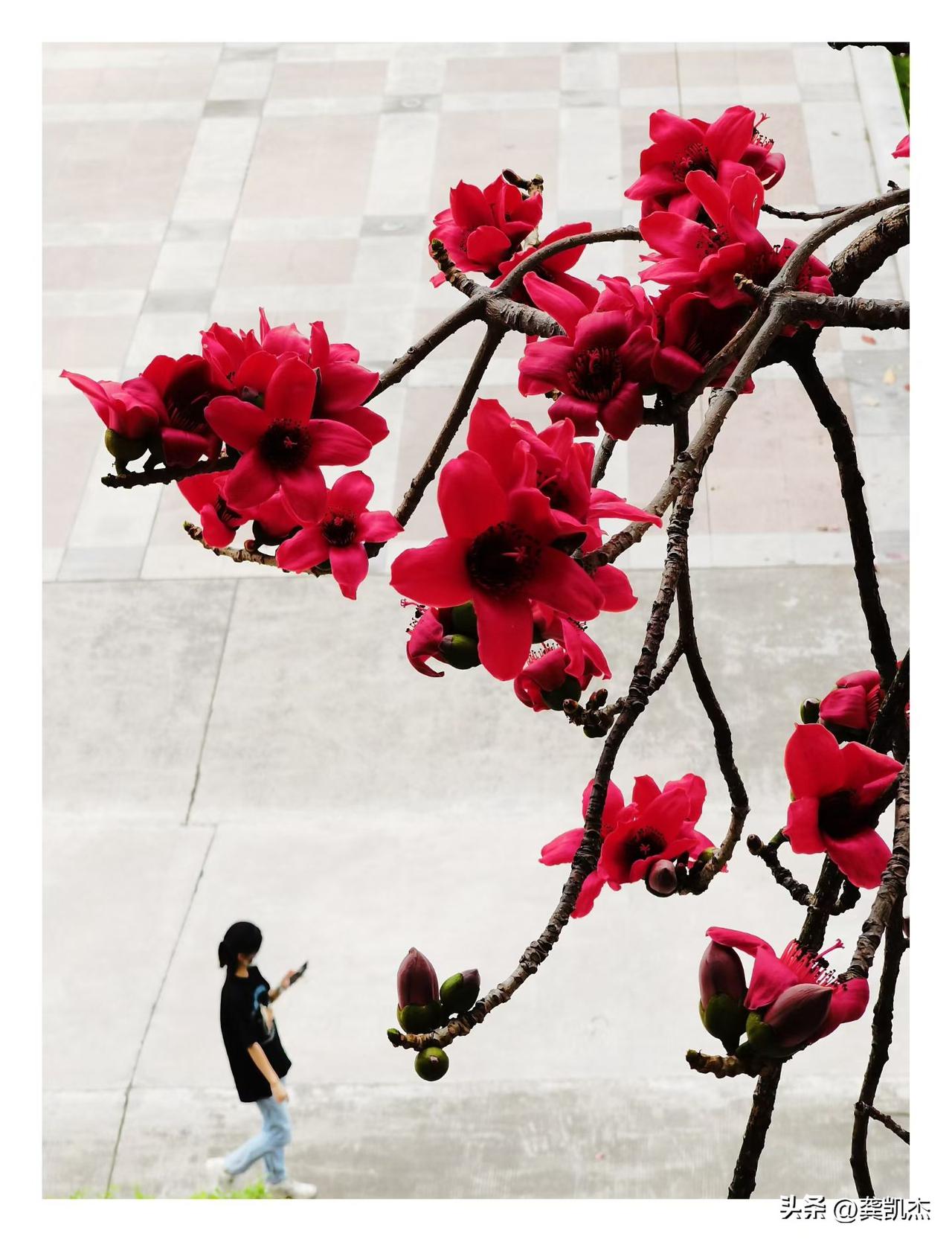 这组照片拍得太美了～～你细品！