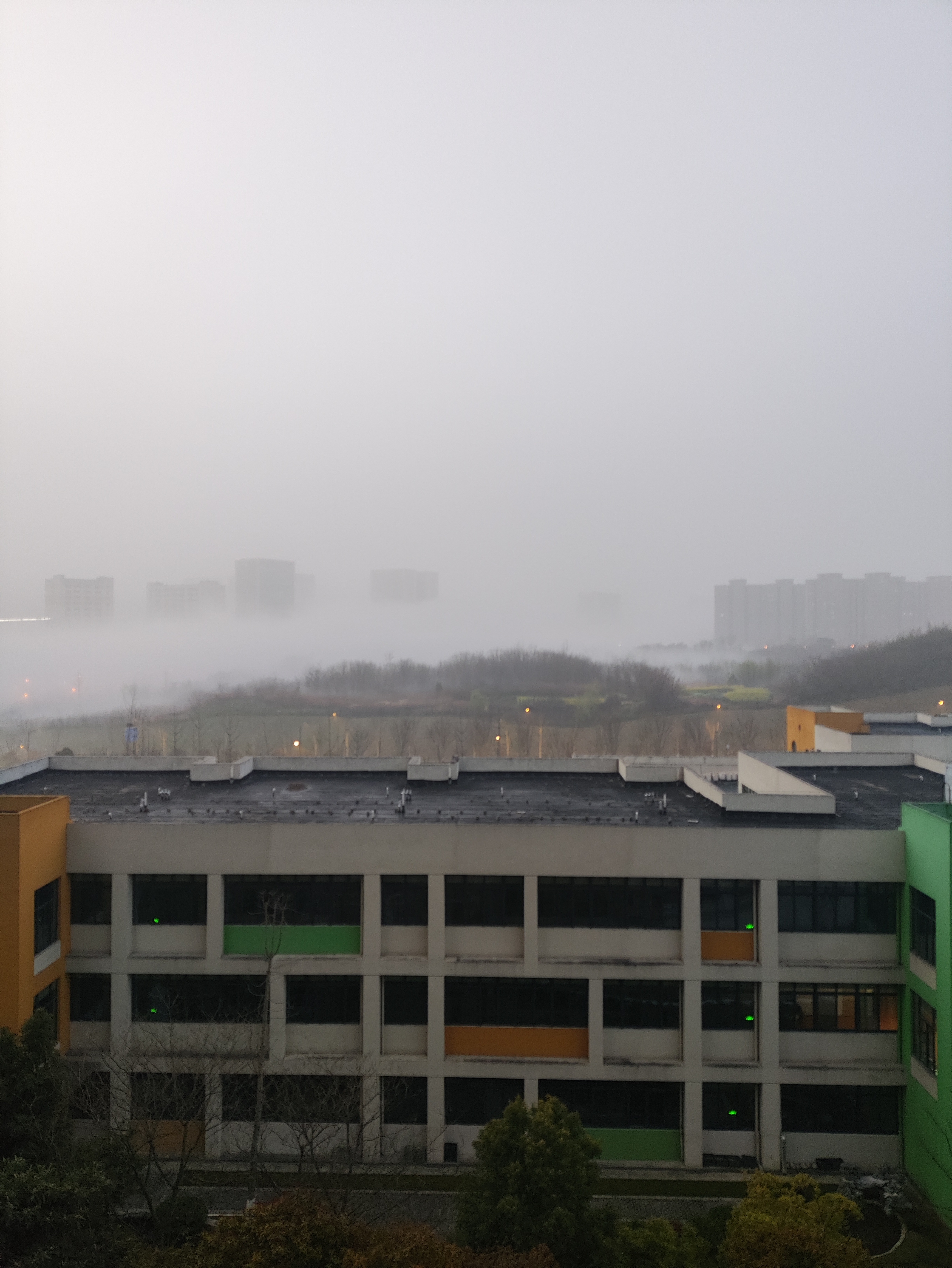 窗外今日校园，大雾好似雪峰