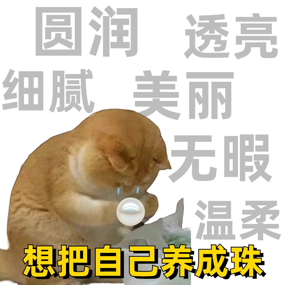 #老一辈的精神状态遥遥领先#听说最近流行养珠？（此珠非彼猪[doge]）给大家分