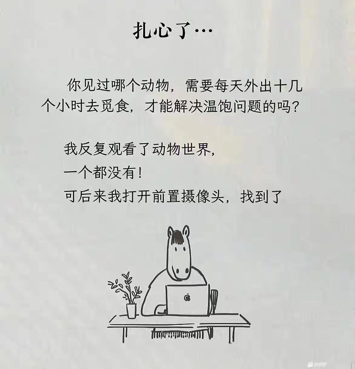 发现问题，是思想进步的开始！[捂脸]
