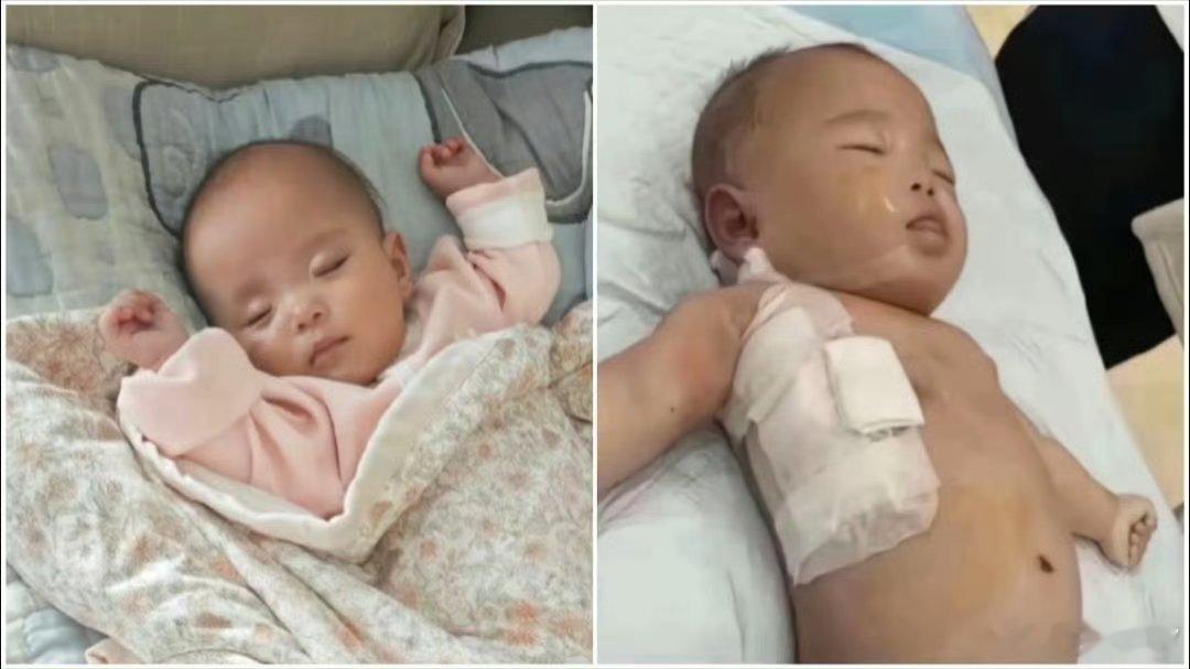 小洛熙每一次上热搜，我都会盯一遍进展，希望相关人员得到应有的惩罚！她父母的账号真