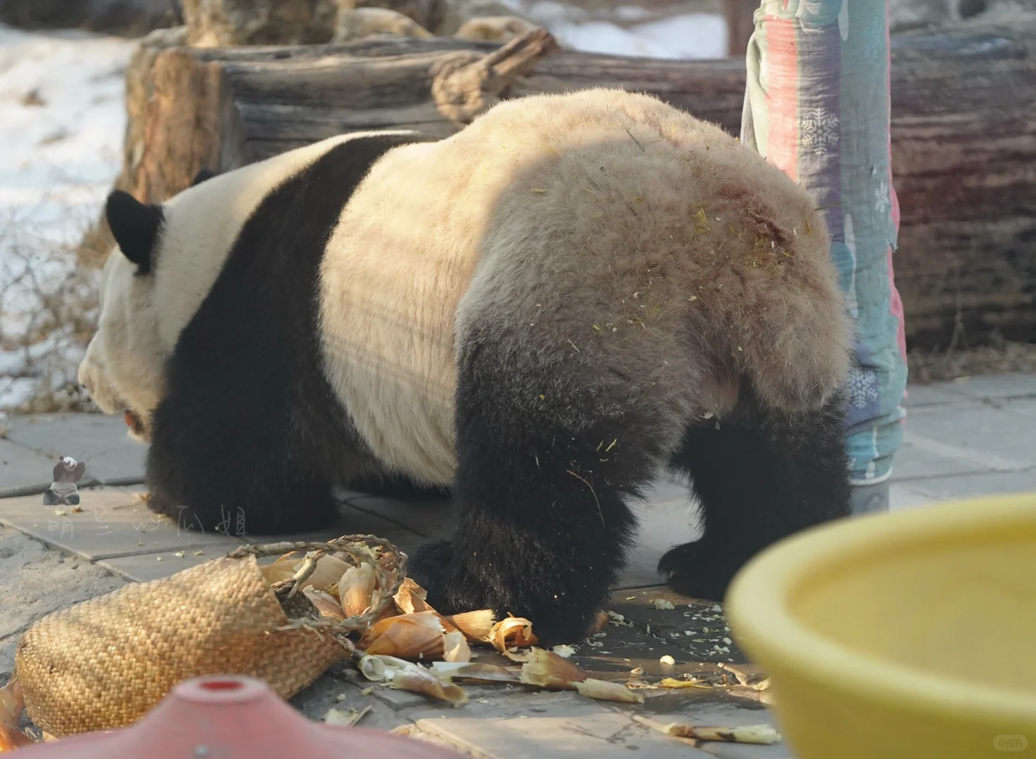 ee擦屁屁