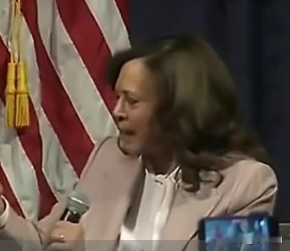 前美国副总统哈里斯称，是以色列总理内塔尼亚胡将特朗普总统拉入了与伊朗的战争。
