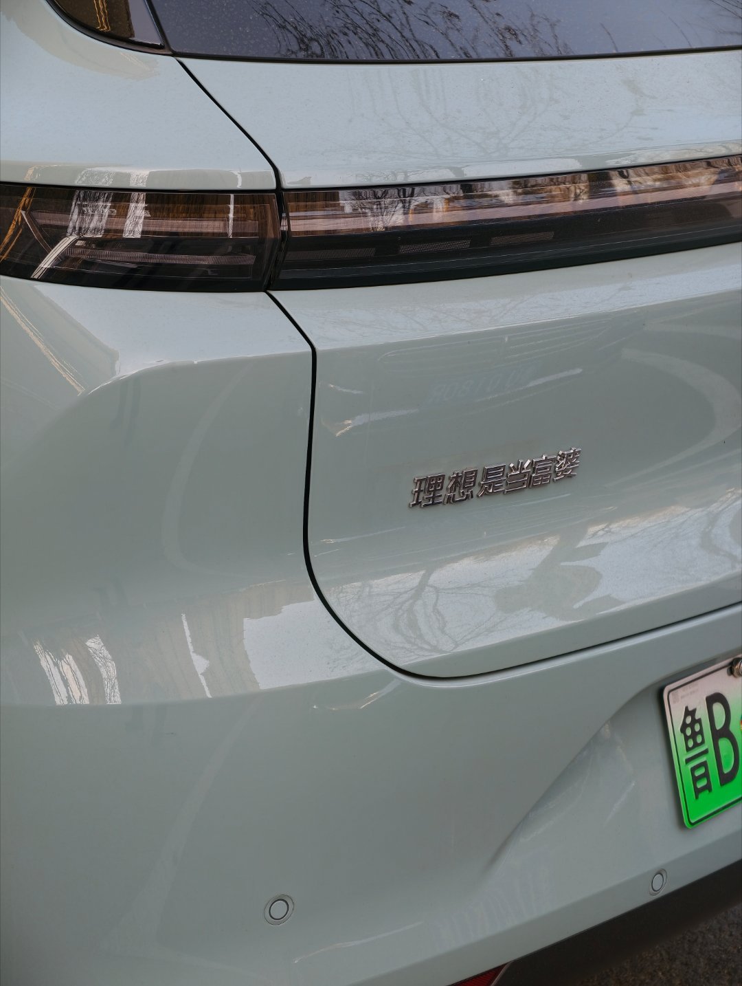 理想这款的颜色还挺好看的，车主也挺逗