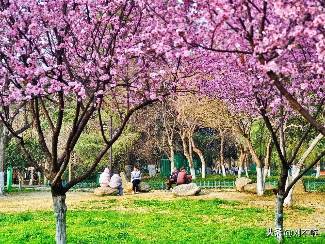 教师退休金有高有低，不能一概而论。教师退休金确实有高有低，不能一概而论，关键看退