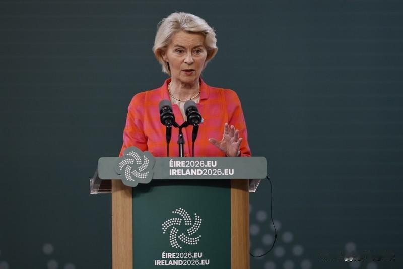 欧盟这次算是踢到铁板了，中国在主权问题的态度和决心是不容挑衅的！

欧盟🇪🇺