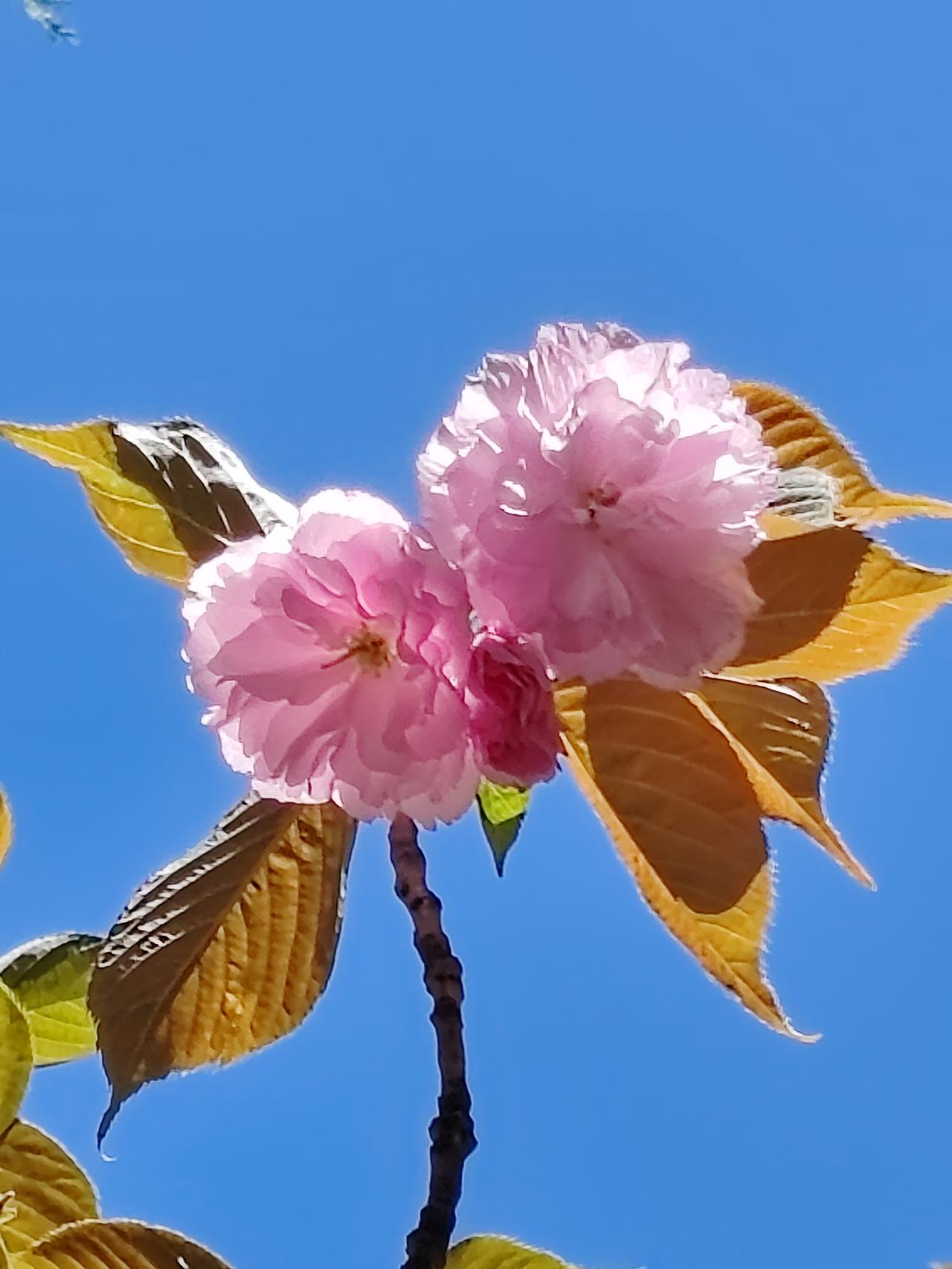 你的人生有没有抽中上上签的可能?只要心地好，人人都能抽到上上签。  也许有人会疑