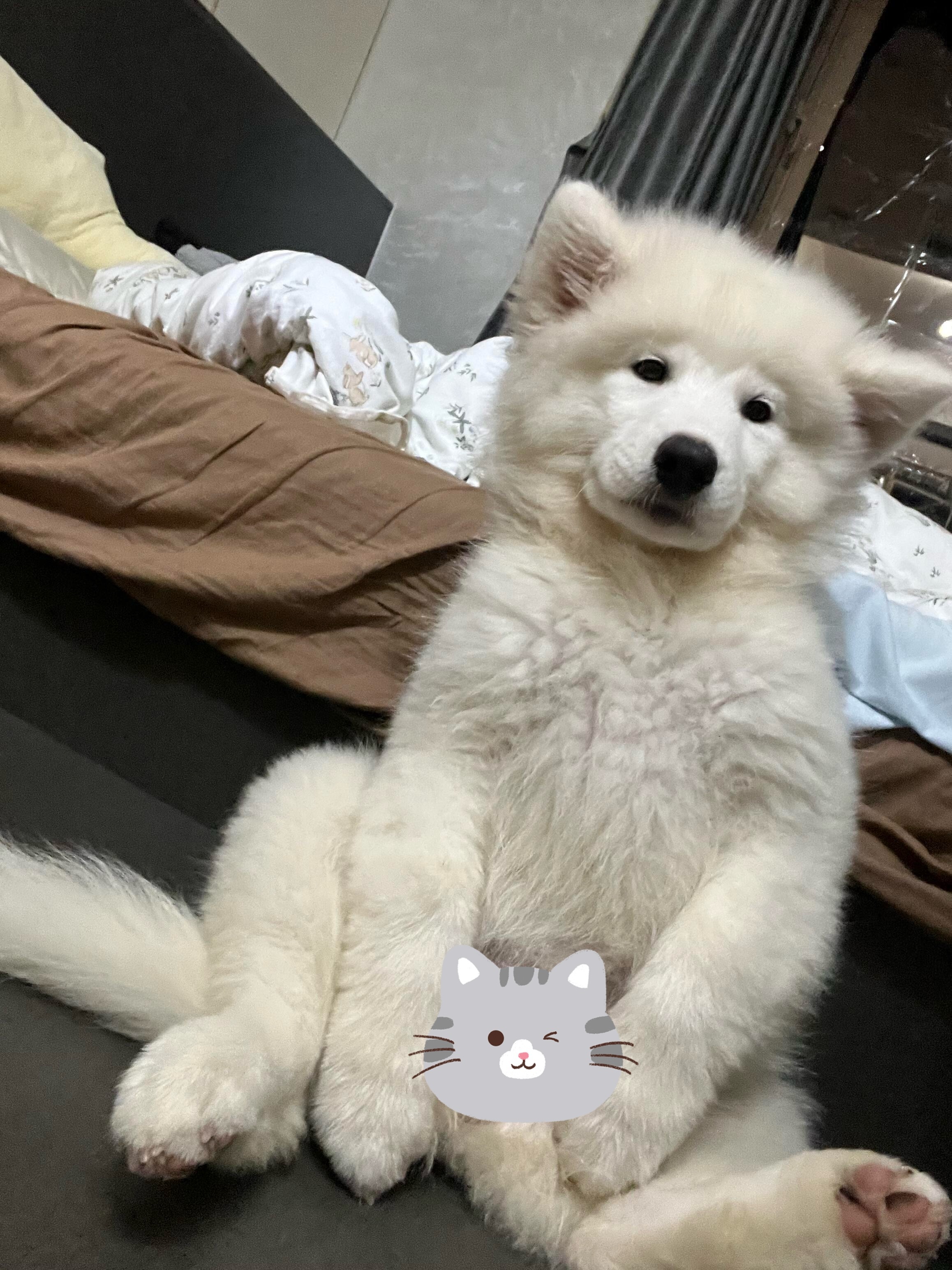 快乐的时光总是这么短暂，假期余额不足了耶 ​​​