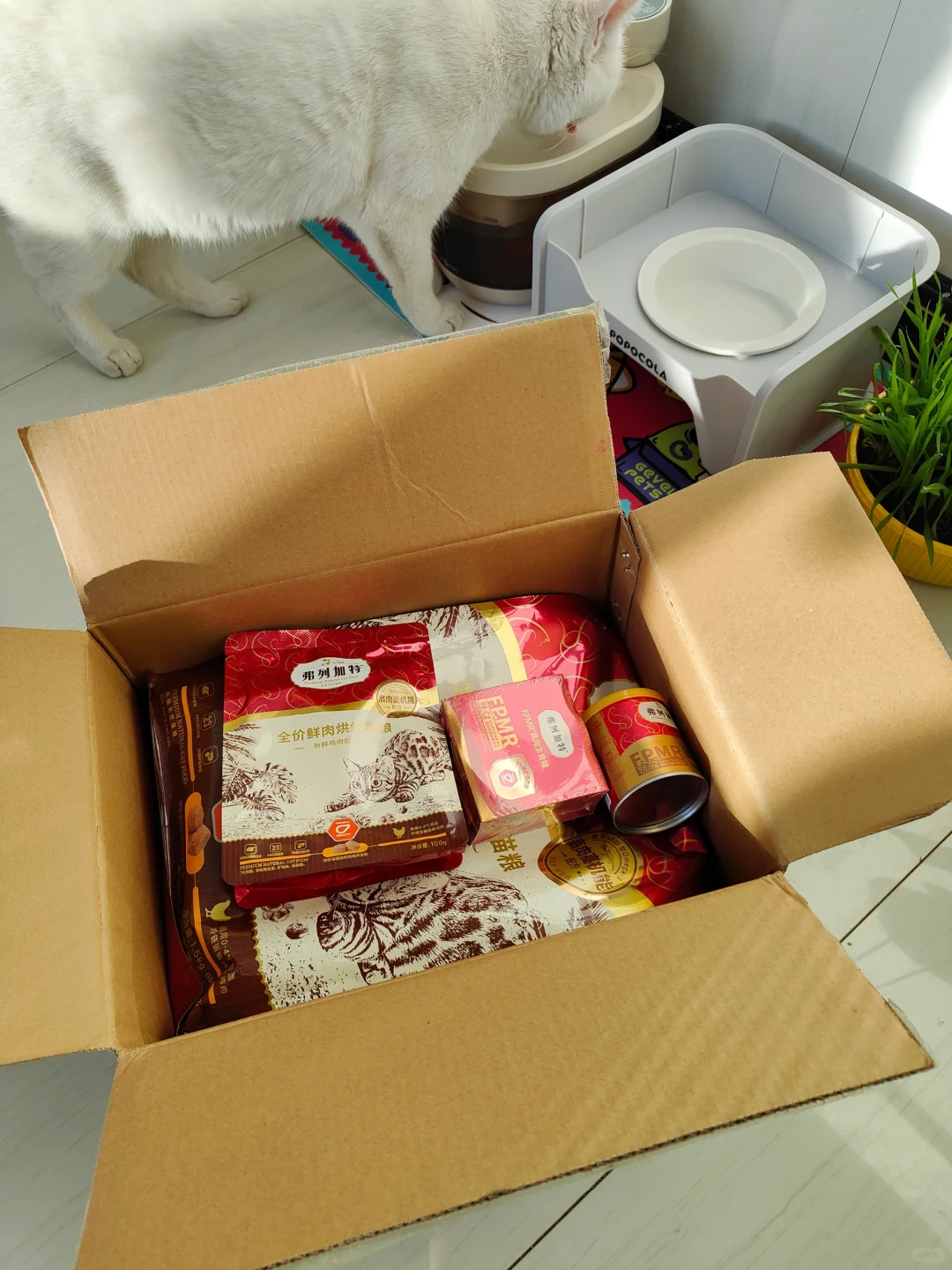 本来想等到双11再囤的，结果没挺住