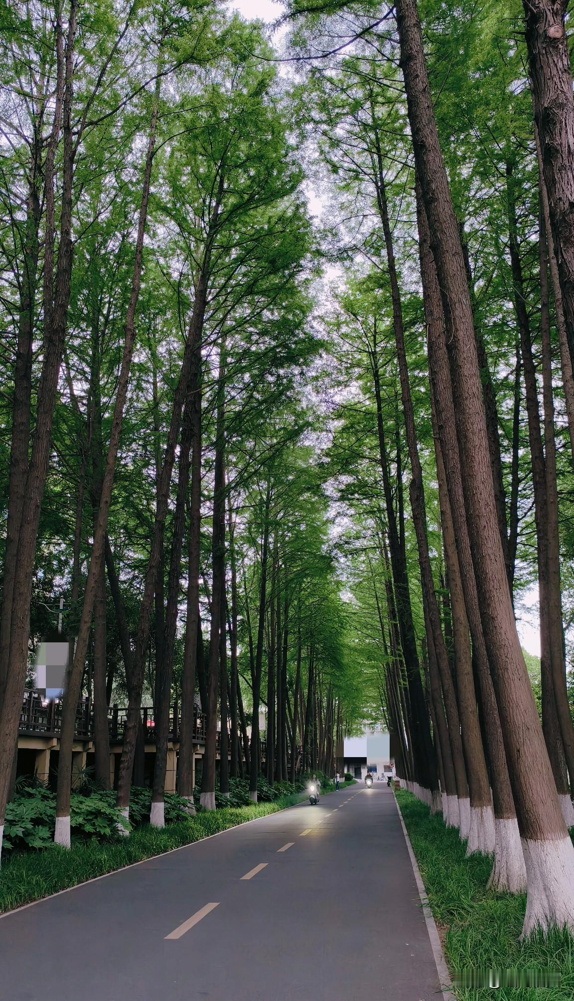 人和人之间的差距有多大，今天一位路人的话让人深思。

今天骑车回来的路上，两位美