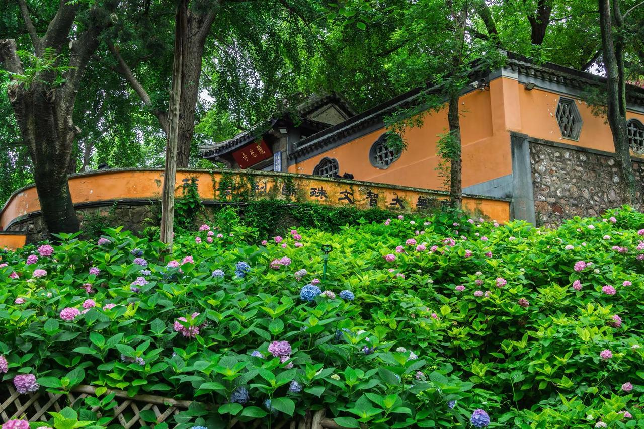 无锡惠山古镇龙光寺。无锡惠山古镇龙光寺原创视频 古建筑与花的碰撞 花与古建筑 寺