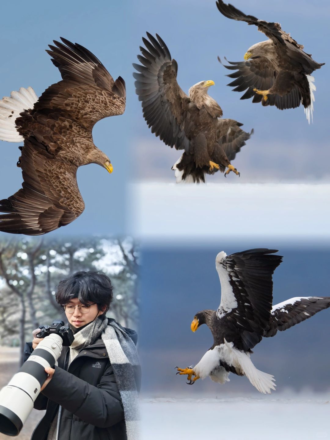 用索尼a93，在国境线上记录空中霸主的风采