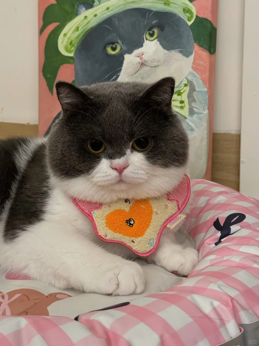 晒晒俺的宝贝野猪