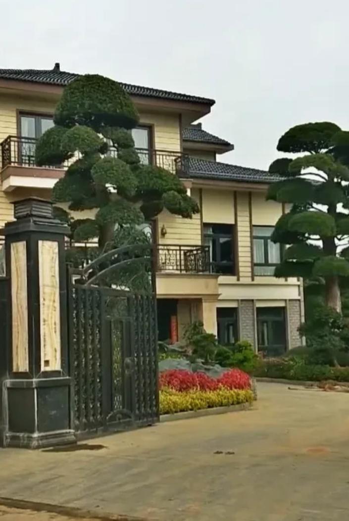 “想白嫖？”广东广州，一名商人周鹏因生意失败，急于变卖家产清偿债务。他将门前价值