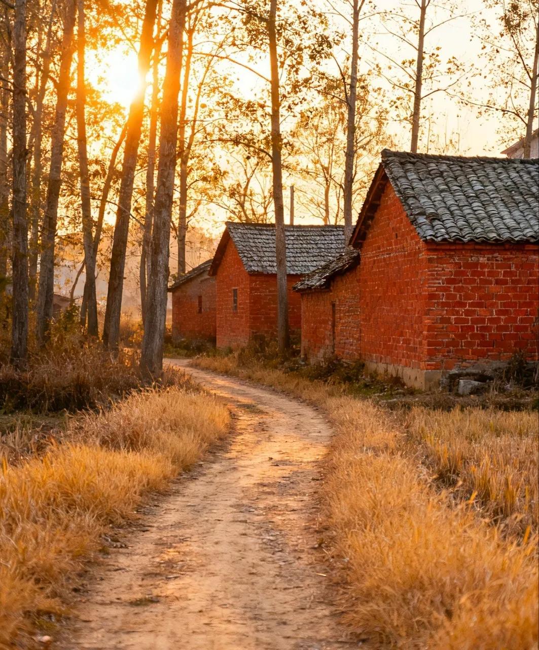 春节，过年，回家的经历，像极了刻舟求剑。

回家的人总想，

在老家的一草一木，