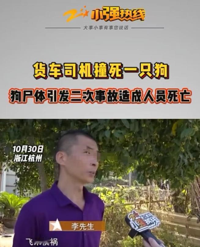 2025年9月浙江杭州，一男子开车压死了一条野狗，他以为是石头就直接开走了，后来