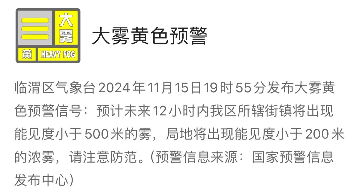 临渭区气象台2024年11月15日19时55分发布大雾黄色预警信号：预计未来12