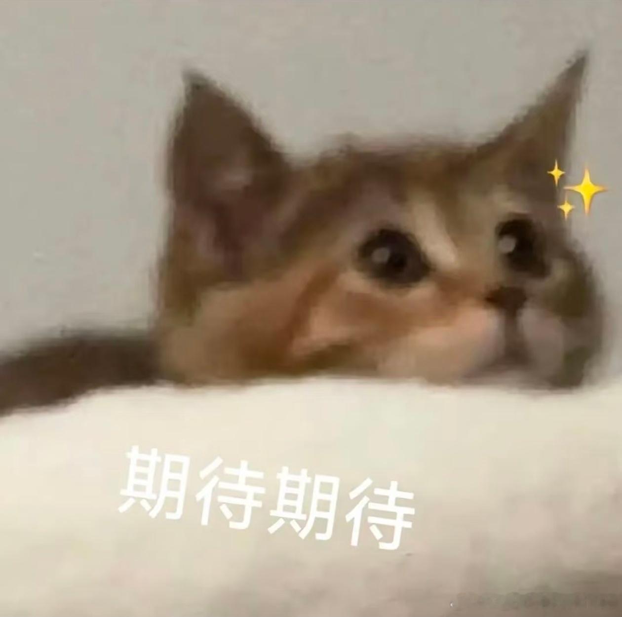 “常相见”“下次见”“明天见”