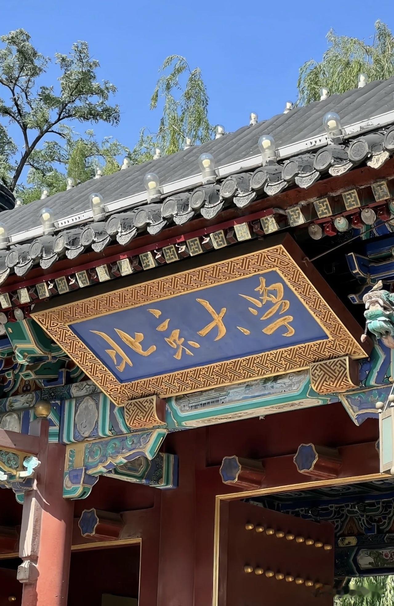 新思维·大学：不止繁花似锦，更要丰盈灵魂

当人们谈论大学，总爱描摹它的繁花似锦