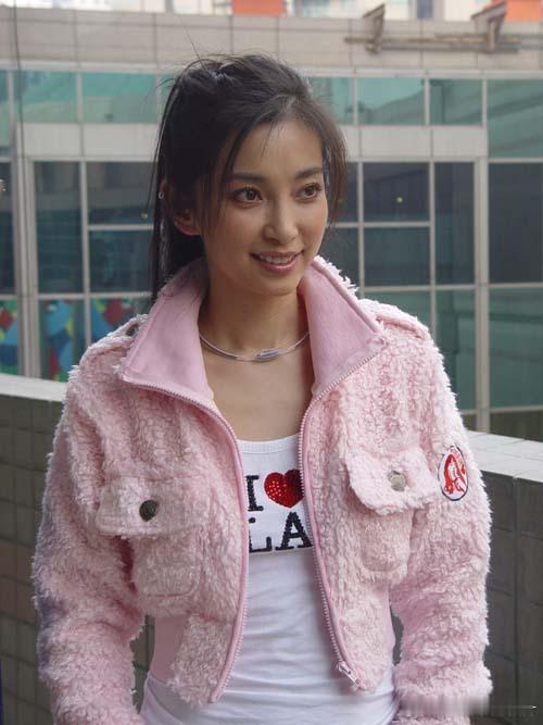 2005年11月3日，堪称年度动作巨制的电影《猛龙》在上海举行首映式，导演李仁港