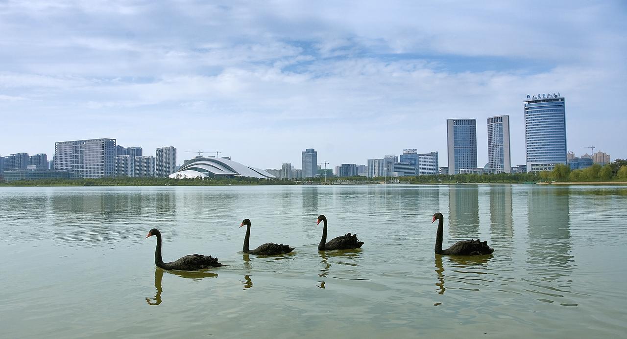 合肥：“芯屏汽合急终生智”领航 后发之城崛起产业新高地
 
从昔日“内陆小城”到