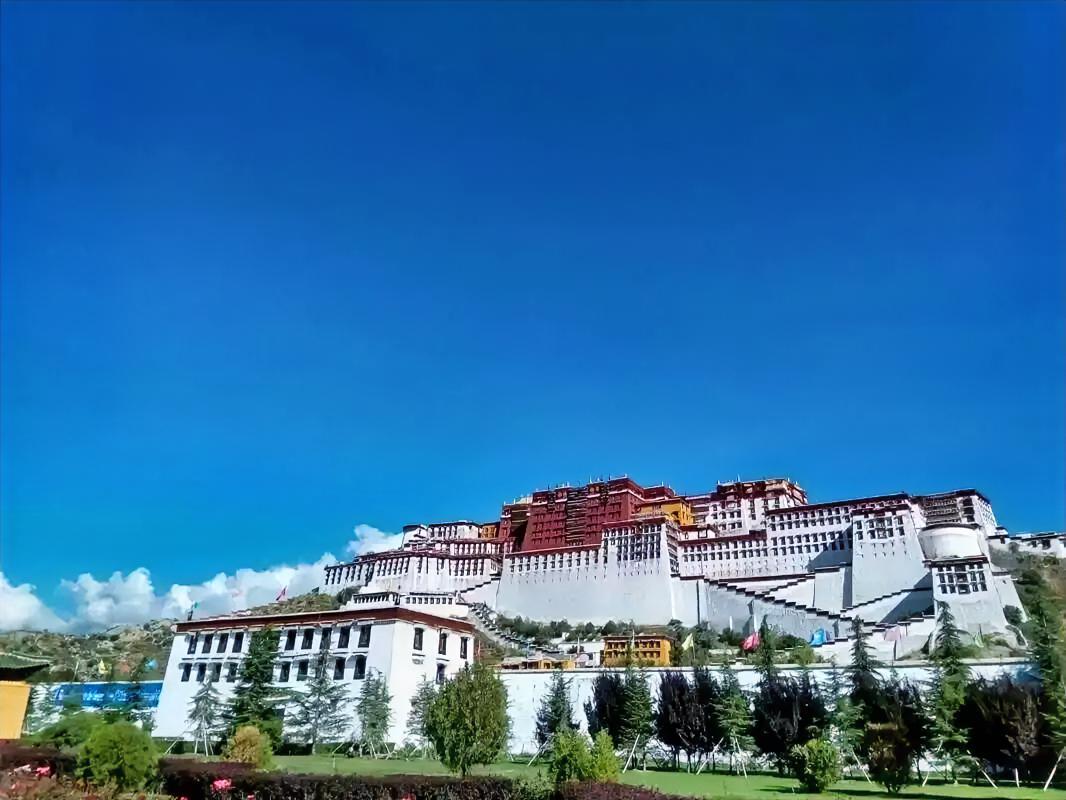 这张照片有什么缺点？