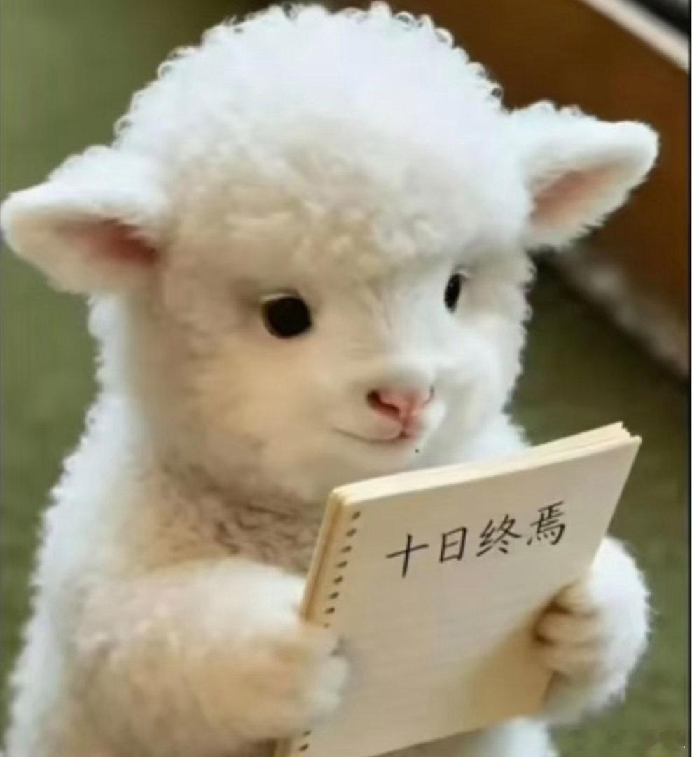 肖战十日终焉杀青吃烤全羊轮回结束，齐夏被吃了