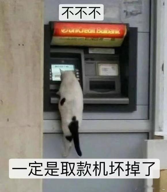 年轻人为何都不愿结婚 [柯基]玛雅，年轻人都还在犹豫128G的iPhone够不够