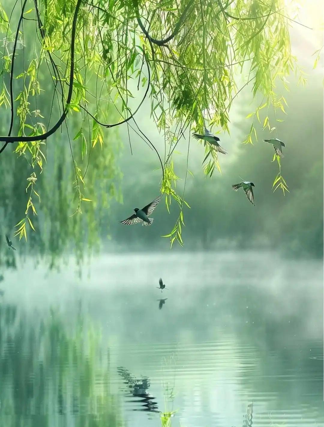下联：雨润红桃绽丽姿
赏析：这幅对联以“雨润红桃”对“风拂绿柳”，动静相宜。“绽