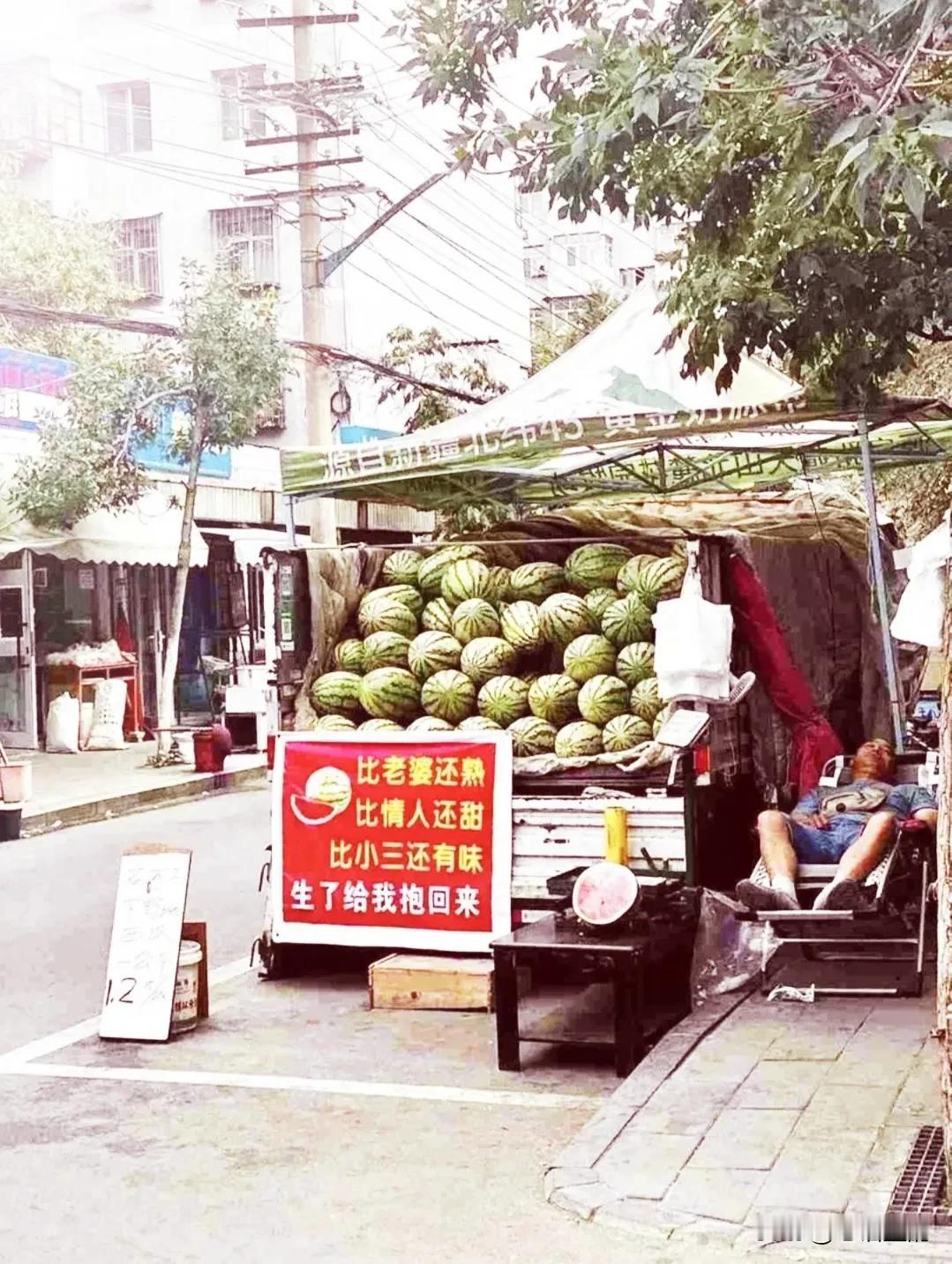 小舅子离婚了，离婚不离家。
因为净身出户，他也无家可去，所以，只能离婚不离家。
