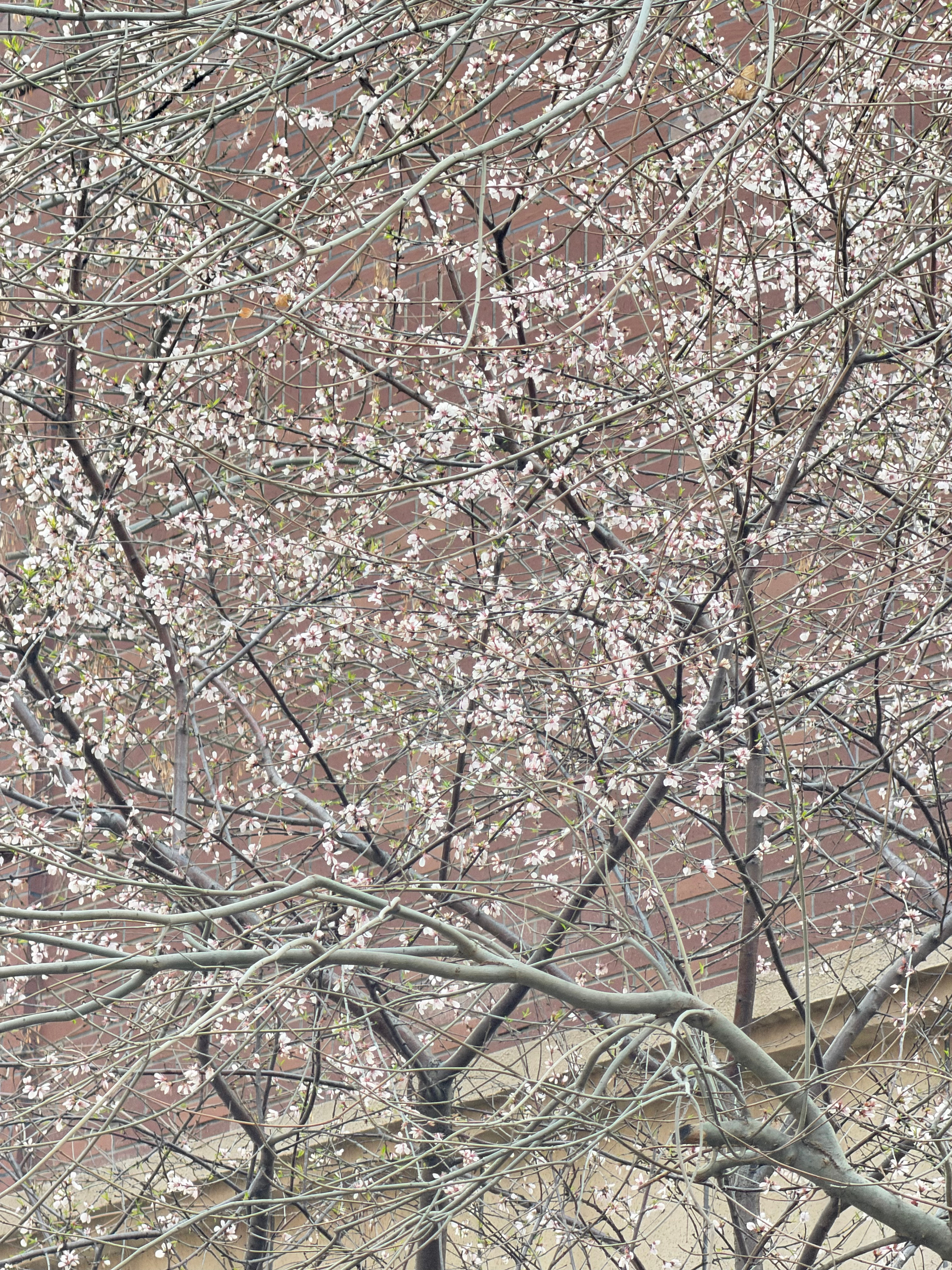 今天天气好暖和，感觉直接就是穿短袖短裤。 