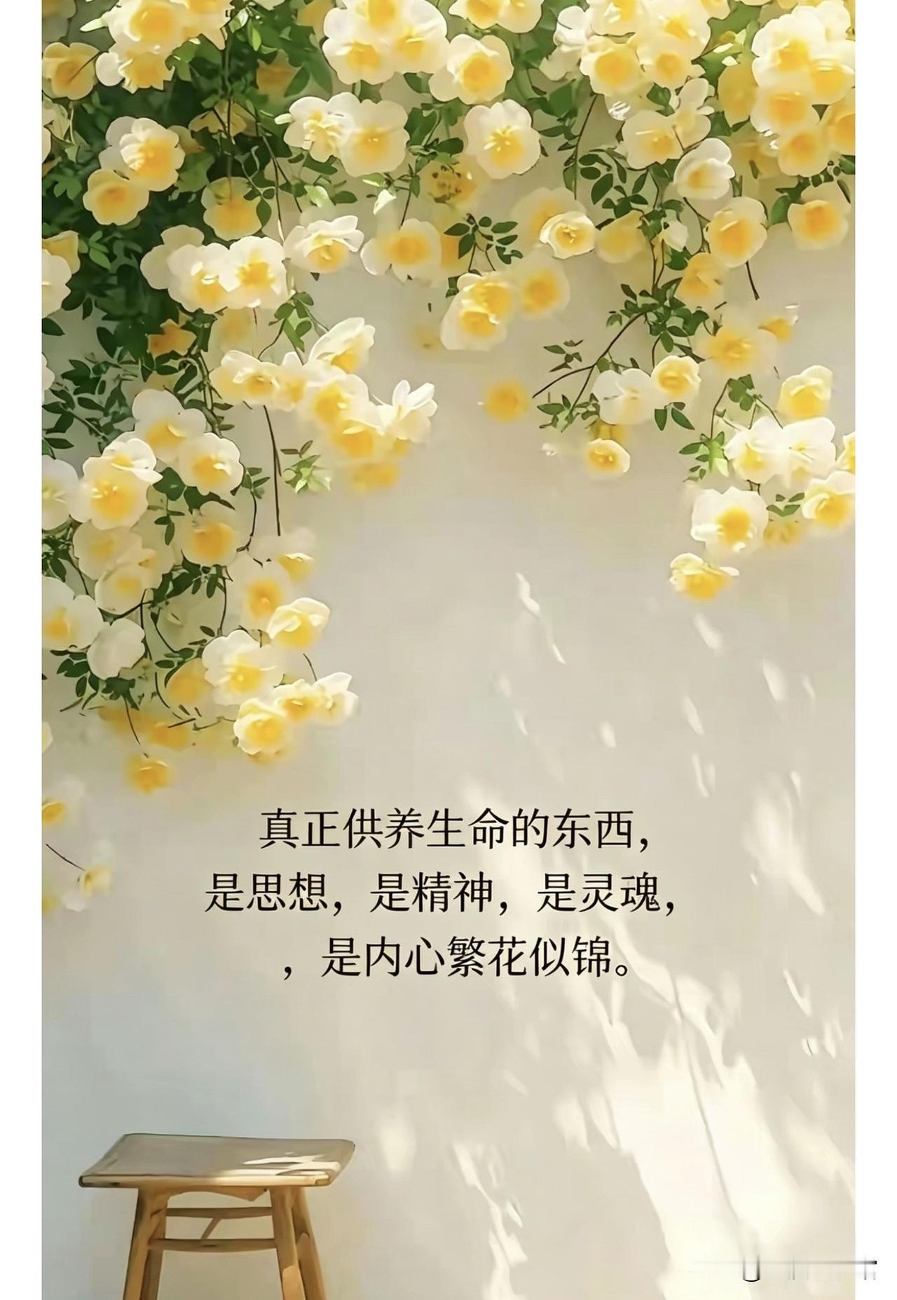 我发现现在好多人交朋友，不管年纪多大，压根接纳不了半点负面情绪，只能听顺耳的好话