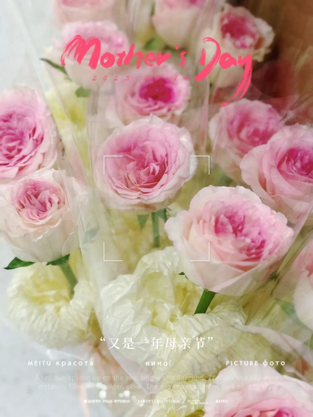 我想把温柔与诗意都送给你💗～
