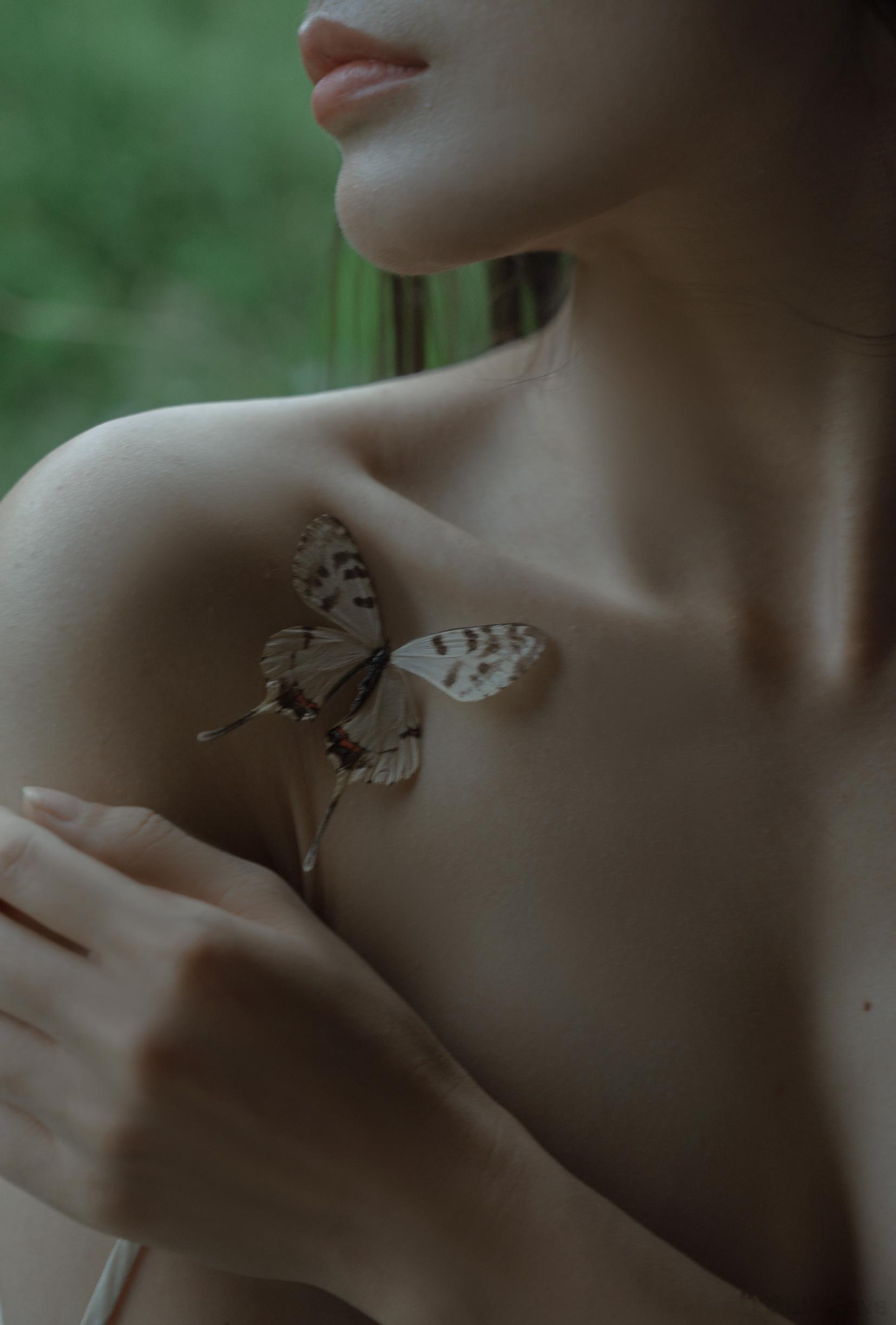 抓住死去的蝴蝶索吻腐蚀的夏日- ​​​
