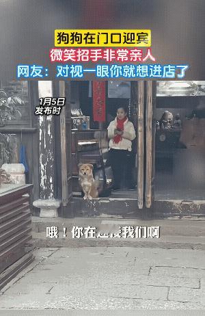 每天小鸡腿的钱，应该是它自己赚来的。
白天揽客，晚上看门，小小的它，为了这个店，